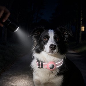 Collar Táctico <span class=keywords><strong>para</strong></span> Perro con Soporte <span class=keywords><strong>para</strong></span> <span class=keywords><strong>AirTag</strong></span>, Recargable, Duradero, Doble Hilera de Costuras Reflectantes, Liberación Rápida, Nailon <span class=keywords><strong>para</strong></span> Perros Pequeños y Grandes - Product Image 5