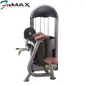China Factory Gym Equipment Pin Loaded Strength Training Biceps Curl Gym Machine for Fitness commercial Triceps Curl for sale