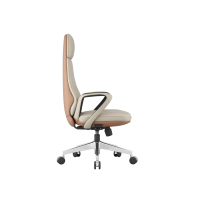 Chaise de bureau ergonomique, mobilier de maison moderne et populaire, chaise de bureau ergonomique en cuir pour l'étude, la bibliothèque privée
