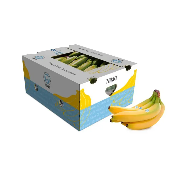공장 가격 골판지 강한 5 플라이 과일 야채 판지 바나나 상자, 원하는 패턴과 크기를 자유롭게 정의 할 수 있습니다