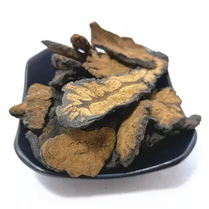 Rou Cong Rong all'ingrosso erbe cinesi essiccate <span class=keywords><strong>Naturel</strong></span> Cistanche Deserticola estratto di fetta di erbe biologiche in polvere - Product Image 1