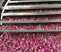 Goedkoopste prijs voedselvriesdroger voedsel fruit groenten vacuümvriesdroogapparatuur vriesdroger voedsel