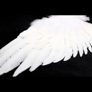 Ailes <span class=keywords><strong>d</strong></span>'<span class=keywords><strong>ange</strong></span> personnalisées <span class=keywords><strong>d</strong></span>'usine <span class=keywords><strong>et</strong></span> bandeau de Halo pour Parades, Costume de fête, accessoires de spectacle, ensemble <span class=keywords><strong>d</strong></span>'ailes de Halo en plume Pure - Product Image 3