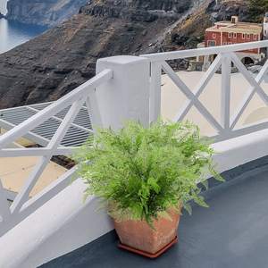 Plantes artificielles Boston Fern <span class=keywords><strong>de</strong></span> 19 ", 2 pièces, fausses plantes, pour maison, jardin, bureau, ferme d'intérieur - Product Image 6