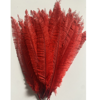 50cm Nandu plumes d'autruche pour fête maison mariage Vase décor bricolage artisanat Floral chapeau Fascinator chapellerie chapeaux accessoire