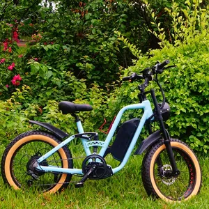 20" Fat Tire Electric Urban Bike 1000W Ebike with 48V 22Ah Removable Battery 37MPH Shimano 7 Speed Gears Dual Shock Absorber