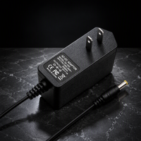 Adaptateur secteur 5V 2A 10W DC à large plage de température d'utilisation pour les liseuses électroniques et les appareils de lecture numérique