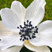 Bouquet de tournesols en bois de Sola de 13 cm, étamines noires, fait main, écologique, imperméable, décoration d'intérieur pour anniversaire, remise de diplôme, fête des pères