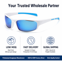 Nouvelles Lunettes de Cyclisme 2025 Tendance Dorées Unisexe Anti-Vent Anti-Sable Polarisées UV400 Anti-Buée Réglables