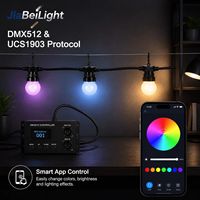 Guirlandes lumineuses intelligentes de Noël en direct d'usine, DC12V UCS1903 GS8206, boules de 50 mm, RGB, multicolores
