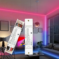 Contrôleur de bande LED RGB CW Bilihondim Matter 1 canal, compatible Google Assistant, 24/12V, couleurs complètes, contrôle sans fil, économie d'énergie