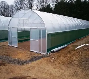Assembled Flat Oval Tube Plastic Film Tunnel Inflation Greenhouse For Vegetable/Lettuce/Tomato/Crops/Cucumber/Strawberry/Flower