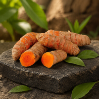 Complément de curcumine liposomale soluble dans l'eau, extrait naturel de curcuma, poudre de curcumine à 95%