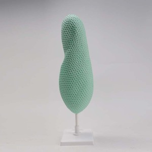 Modèle Paramecium Qinghua 33103, un modèle biologique pour les collèges et les lycées, utilisé pour l'éducation scientifique et - Product Image 2