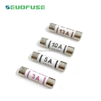 UK Plug Top British Fusible Bs1362 Céramique 1A 3A 5A 10A 13A 20A 240V 250V 6*25mm Haute Classe BASSE Tension 1A-20A 6x25mm