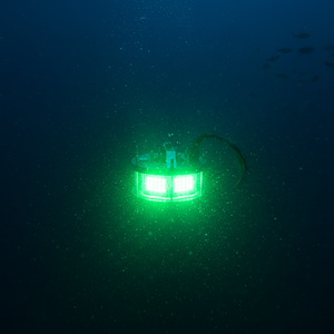 Nouveauté : Éclairage LED de pêche sous-marin en acier inoxydable 316SS, à montage mural extérieur, pour surface, navire, transom, étang - Product Image 1