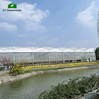 Serre en polycarbonate GT pour la construction de maisons, serre agricole en polycarbonate