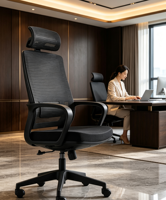 Chaise de bureau exécutive en mesh NovaErgo, redéfinissez le confort de votre bureau