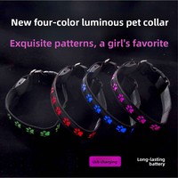 Collier lumineux pour chien en nylon RGB multicolore avec empreintes de pattes gravées par LED et laisse