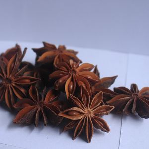 โป๊ยกั๊กจีน Fangchenggang GI พันธมิตรทางป่าฝน - Product Image 1