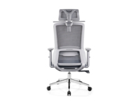 Silla de Oficina Ergonómica con Soporte Lumbar, Reposacabezas de Malla Transpirable, Silla de Escritorio para Computadora, para Reuniones de Personal y Capacitación