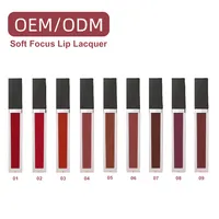 Private Label Vloeibare Lipstick Langdurige Lipgloss Vendor Matte Lipgloss Groothandel