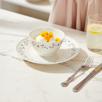 Ensemble de bols et d'assiettes en céramique à motif de plantes bleues, durable, réutilisable, durable, compatible avec le micro-ondes, design minimaliste moderne