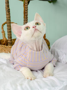 Klassisches gestreiftes Winter-Sweatshirt für haarlose Katzen Elastic Velvet Belly Protection Vierbeinige Katzen kleidung Elastic Christmas - Product Image 6