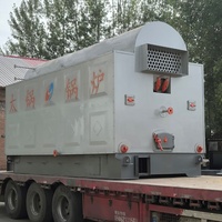 Machine à granulés de biomasse de 50 BHP, chaudière à vapeur pour l'industrie de la transformation alimentaire des champignons en sacs