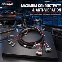 Harnais de câblage complet personnalisé BeiXing avec âme en cuivre et isolation PVC/Nylon, indice de protection IP67, pour automobiles et motocyclettes