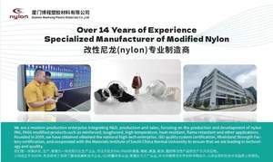 Tái chế viên nhựa viên hạt thủy tinh <span class=keywords><strong>pa</strong></span> <span class=keywords><strong>6</strong></span> PA66 <span class=keywords><strong>GF30</strong></span> Polyamide <span class=keywords><strong>6</strong></span>.<span class=keywords><strong>6</strong></span> - Product Image 6