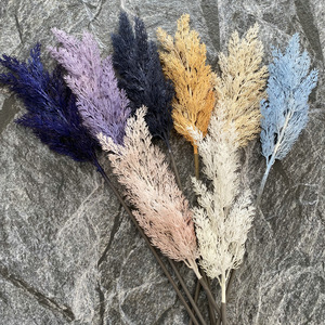 Vente en gros d'herbe de <span class=keywords><strong>pampa</strong></span> fleurs artificielles herbe de riz <span class=keywords><strong>artificielle</strong></span> en plastique herbe de blé colorée pour la décoration intérieure de mariage - Product Image 4