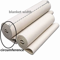Bâche de sublimation en feutre Nomex haute température pour machine de presse à chaud rouleau-à-rouleau de 1,2 m