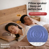 Haut-parleurs d'oreiller Bluetooth pour dormir, avec fonction anti-bruit, rechargeables, pour une maison intelligente sans fil