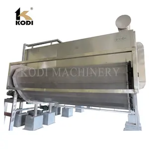 DW Model Continuous Desiccated Coconut Belt Dryer/Conveyor Dryer/Band Dryer