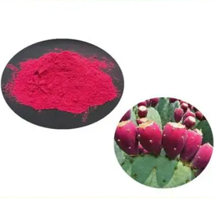 100% 純粋な天然水溶性の新鮮なサボテンフルーツパウダー - Product Image 5