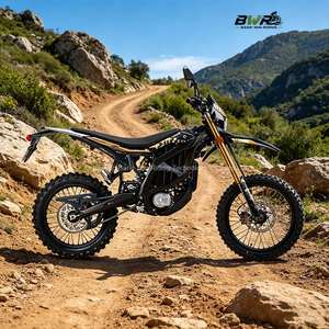 Motocicleta Eléctrica Todoterreno de Alta Velocidad 95km/h 520N.m Ultra Bee HP X - Product Image 4