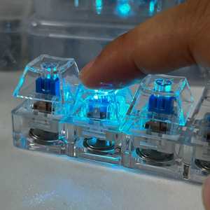 Llavero de Teclado Personalizado con Sonido, de Acrílico Transparente, con Diseños de Ángel, Animal, Fruta, Juguete Antiestrés con Clicker y LED - Product Image 4