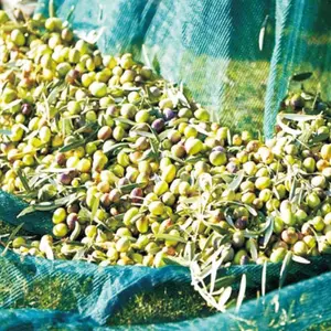 Rede anti-furo para colher azeitona verde