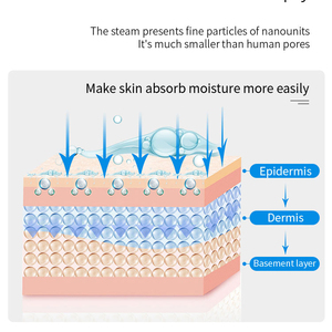 Appareil professionnel de vapeur faciale chaude et froide, humidificateur facial nano à marque privée, alimentation électrique pour usage domestique - Product Image 2