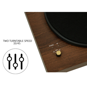 Mâm đĩa than hỗ trợ đầu ra AUX, tốc độ quay 33/45/77 vòng/phút, đầu ra tín hiệu phono, ghi âm PC, đầu đọc đĩa than cao cấp với mâm từ tính tiên tiến - Product Image 3