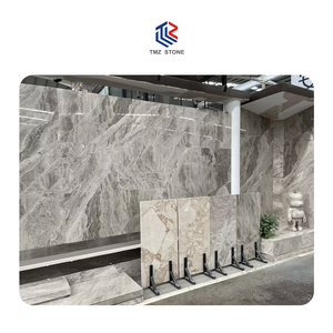 TMZ <b>Stone's</b> High Quality Diana Gray Marble Modern <b>Hot</b> Selling Polished <b>Stone</b> for Living Room ODM/OEM Graphic Design Solution - Product Image 2