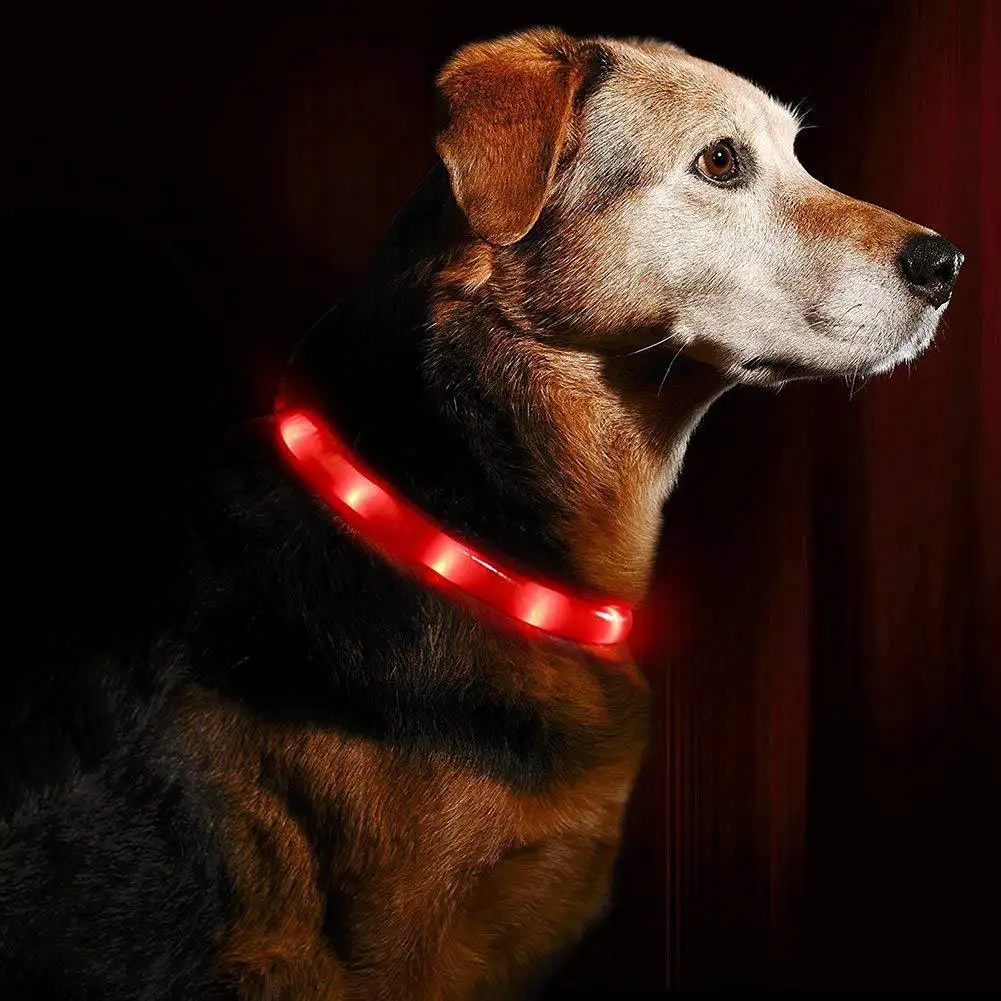 गर्म बिक्री पालतू कॉलर usb रिचार्जेबल लाइट अप कॉलर रात में चलने वाली सिलिकॉन नेतृत्व वाले कुत्ते कॉलर