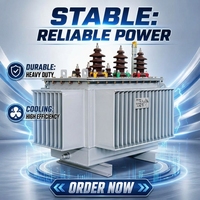 Transformateur de distribution triphasé immergé dans l'huile 10 kV à 400 V 690 V S13 M NX3, transformateur de puissance écoénergétique