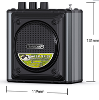 Mini amplificateur VOICE de vente chaude avec fonction Mp3 Fonction USB Carte TF/SD Télécommande Bluetooth pour l'appelant d'oiseau extérieur
