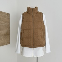 Dicker Retro-Jacke im chinesischen Stil für Damen, ärmellose Jacke, Baumwolljacke mit Designakzenten