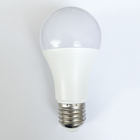 Ampoule LED E27 en plastique et aluminium, alimentation AC/DC 12V 3000-6500K, E27 E26 B22 10W A60, ampoule LED