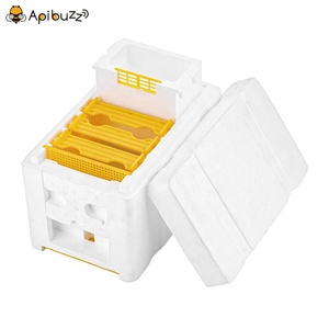 Boîte en plastique pour abeilles, noyau de polystyrène, Nuc pour apiculteur, équipement pour apiculteur, vente en gros, unités