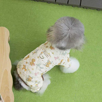 Vêtements pour animaux de compagnie, manteaux et vestes pour chiens et chats en polyester lavable, antidérapants, mignons et luxueux, pour chiens et chats de petite à moyenne taille en automne/hiver