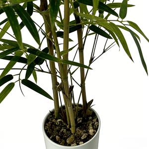Planta artificial de bambú en maceta, bonsái artificial de bambú, bambú - Product Image 5